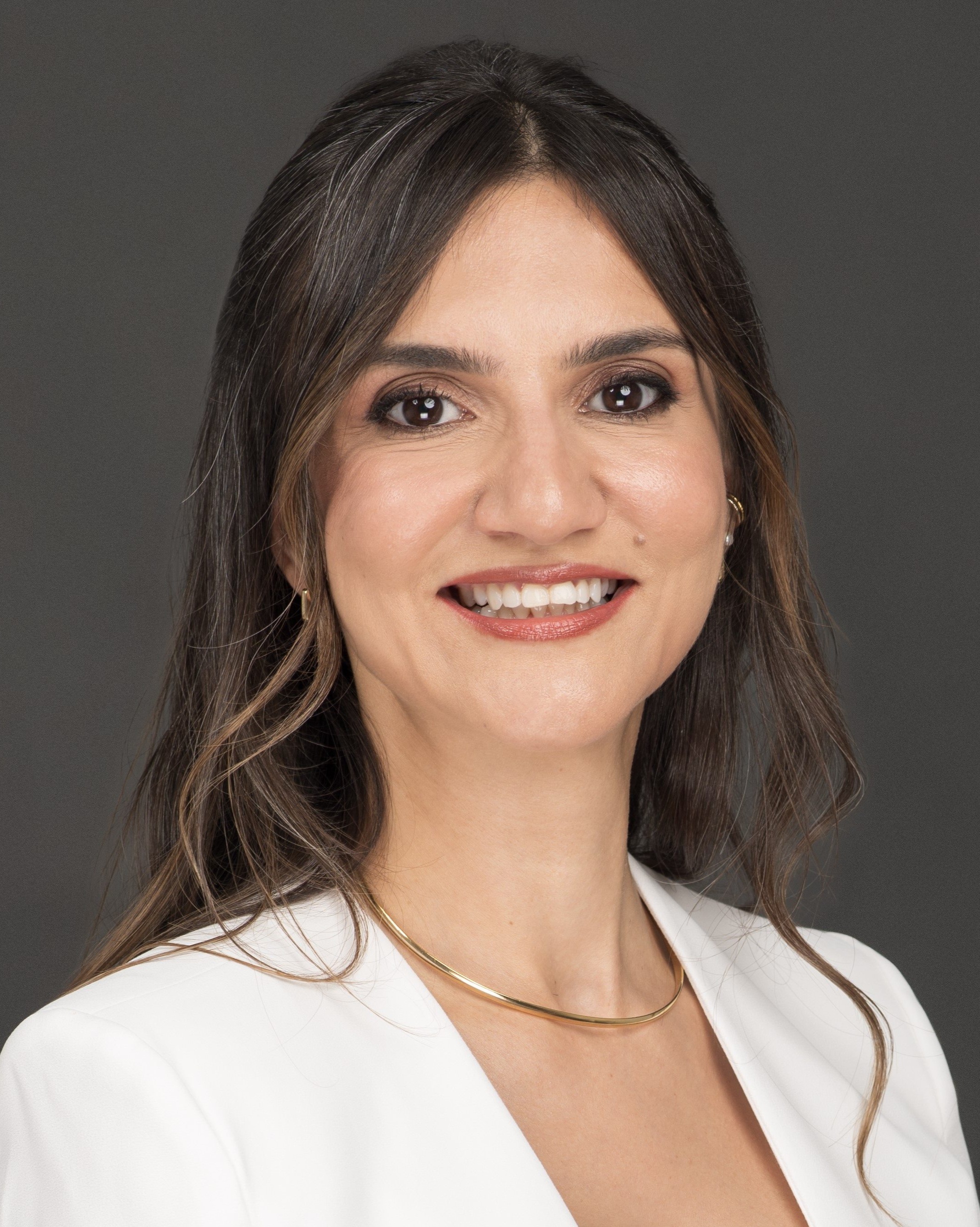 N. Ozge Akcizmeci